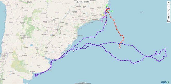 2026-01-09 Mapa dos deslocamentos das tartarugas-de-couro monitoradas por telemetria satelital.png