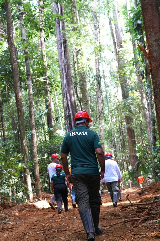 um servidor do Ibama caminha de costas para o observador, de dia, em uma trilha de terra aberta com trator, dentro de uma floresta de árvores altas, cujas copas não aparecem na foto; à frente dele, há um grupo maior de servidores, que também caminha no mesmo sentido. Todos usam capacetes vermelhos de segurança e perneiras de proteção. 