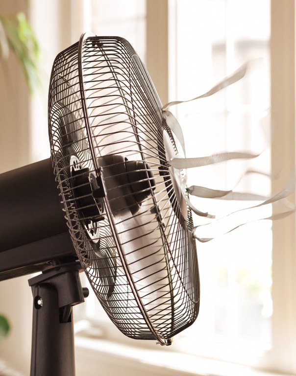 2026-01-05 Emitido pelo Ibama, o Selo Ruído informa a potência sonora de aparelhos ruidosos.png