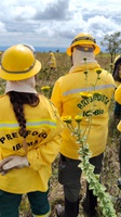 Curso capacita brigadistas para a prevenção e o combate a incêndios florestais no Distrito Federal