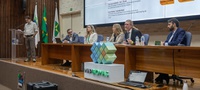 Desmatamento registra queda de 20,6% no país