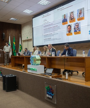 2025-05-27_Lancamento_do_Relatorio_Anual_do_Desmatamento_RAD 2025_Foto_Herminio_Lacerda_Ibama2.jpg
