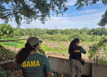 2026-01-21 Equipe do Ibama em um dos locais fiscalizados.jpeg