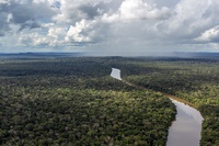 Ferramenta do Ibama distingue desmatamento legal do potencialmente ilegal