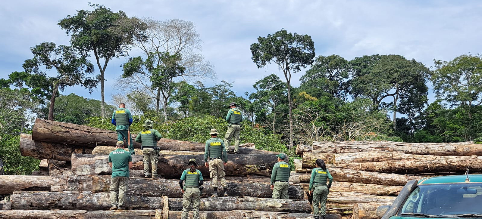 Operação identificou irregularidades e desmontou estruturas clandestinas em áreas protegidas no estado