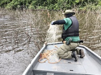 Ibama apreende tartarugas e petrechos de pesca irregular em Goiás