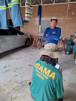 Ibama autua responsável por pesca ilegal de mero na praia de Candeias (PE)