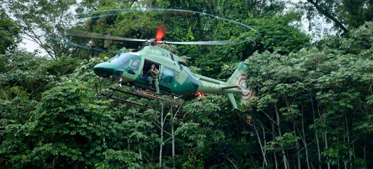 Helicóptero do Ibama sobrevoa em baixa altitude uma área de floresta densa na Amazônia. A aeronave verde está próxima às copas das árvores, com as hélices em movimento. Um agente aparece na porta lateral do helicóptero durante a operação aérea em meio à vegetação fechada. 