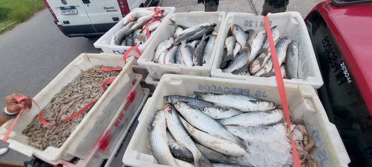 Entre os materiais e produtos apreendidos estão 32.242 quilos de pescados, sendo 25.560 quilos de peixes e 6.682 quilos de camarão
