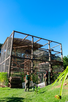 Ibama desativa o último criadouro de macacos-prego do país, por maus-tratos