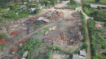 2026-01-07 Fiscalização abrange toda a cadeia produtiva da madeira.jpg