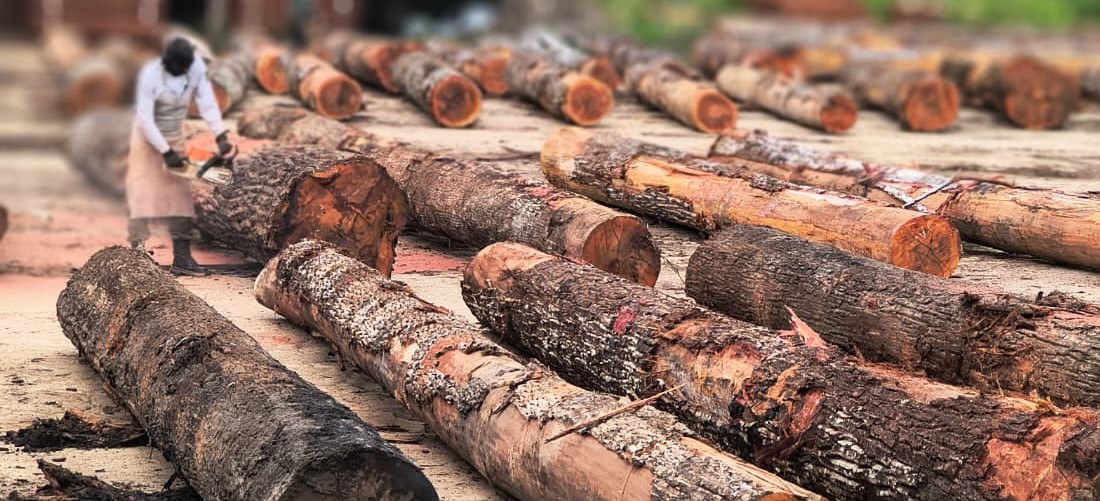 Ação ocorreu em Altamira e Uruará, com condução do Grupo de Combate ao Desmatamento da Amazônia (GCDA)