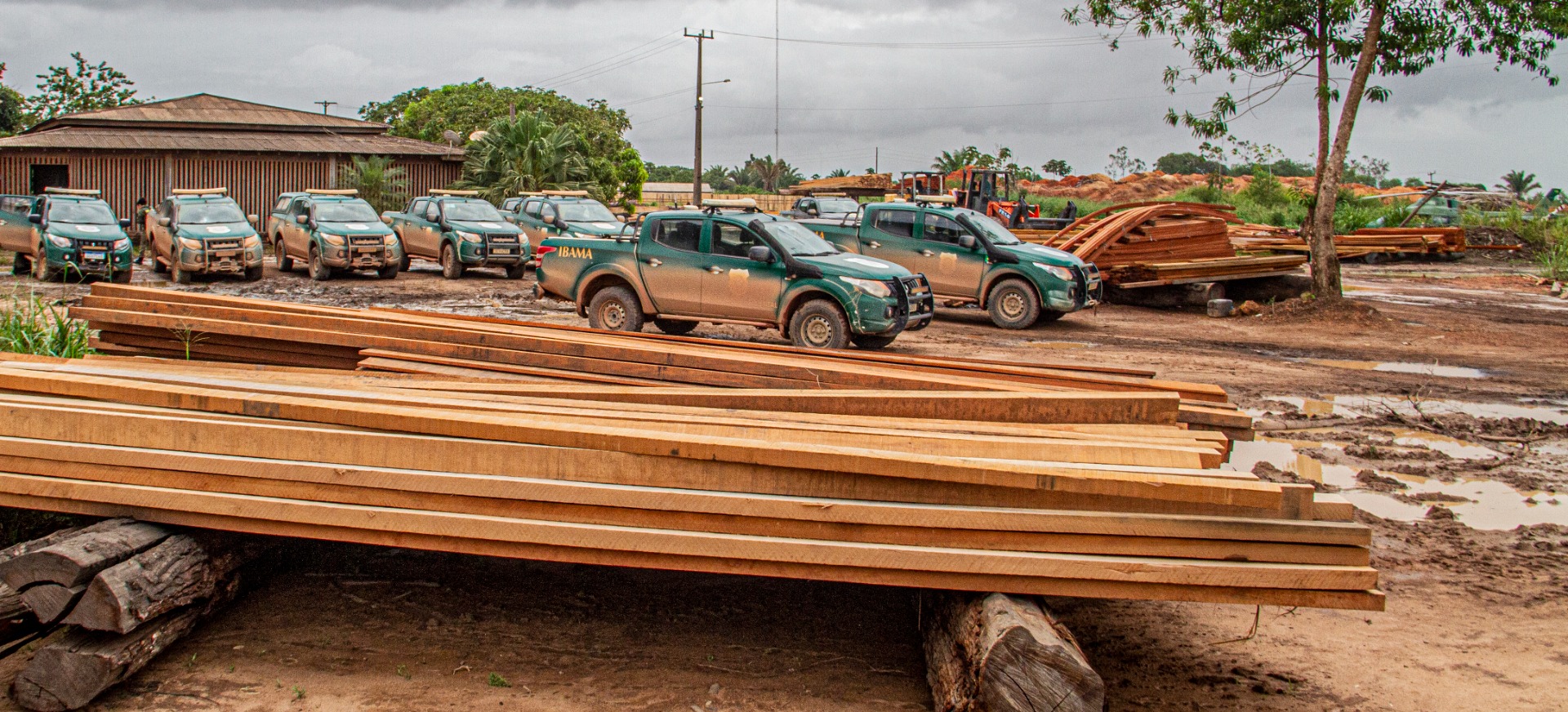 Ação conta com o apoio de 150 agentes públicos. Até o momento, 26 madeireiras forma vistoriadas, incluindo locais clandestinos sem documentação e sem comprovação da origem da madeira