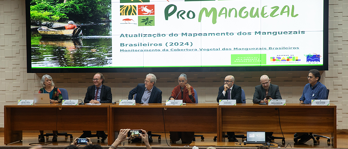 Levantamento atualizado reforça monitoramento contínuo e orienta políticas públicas de conservação; dados mostram que 82% dos manguezais estão em áreas protegidas