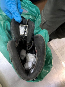 2026-02-26 Equipe encontra sementes dentro de sapato de turista no aeroporto de Guarulhos.jpeg