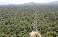 Ibama emite a maior quantidade de licenças ambientais da última década