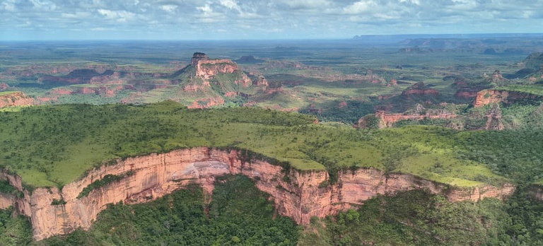 Vista aérea de uma floresta densa e contínua, composta por árvores de diferentes tons de verde. No centro da imagem, uma linha de transmissão de energia elétrica atravessa a mata, com torres metálicas alinhadas em perspectiva até o horizonte. Ao fundo, são visíveis elevações montanhosas cobertas por vegetação. O céu aparece parcialmente encoberto por nuvens claras, com luminosidade difusa sobre a paisagem.