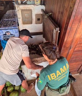 2026-01-19 Agentes do Ibama fiscalizaram 40 estabelecimentos durante a operação.jpeg