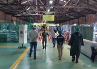 Ibama fiscaliza regularidade ambiental de processos produtivos envolvendo mercúrio