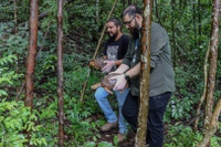 Ibama inaugura recinto de soltura em Niquelândia (GO) e devolve jabutis à natureza