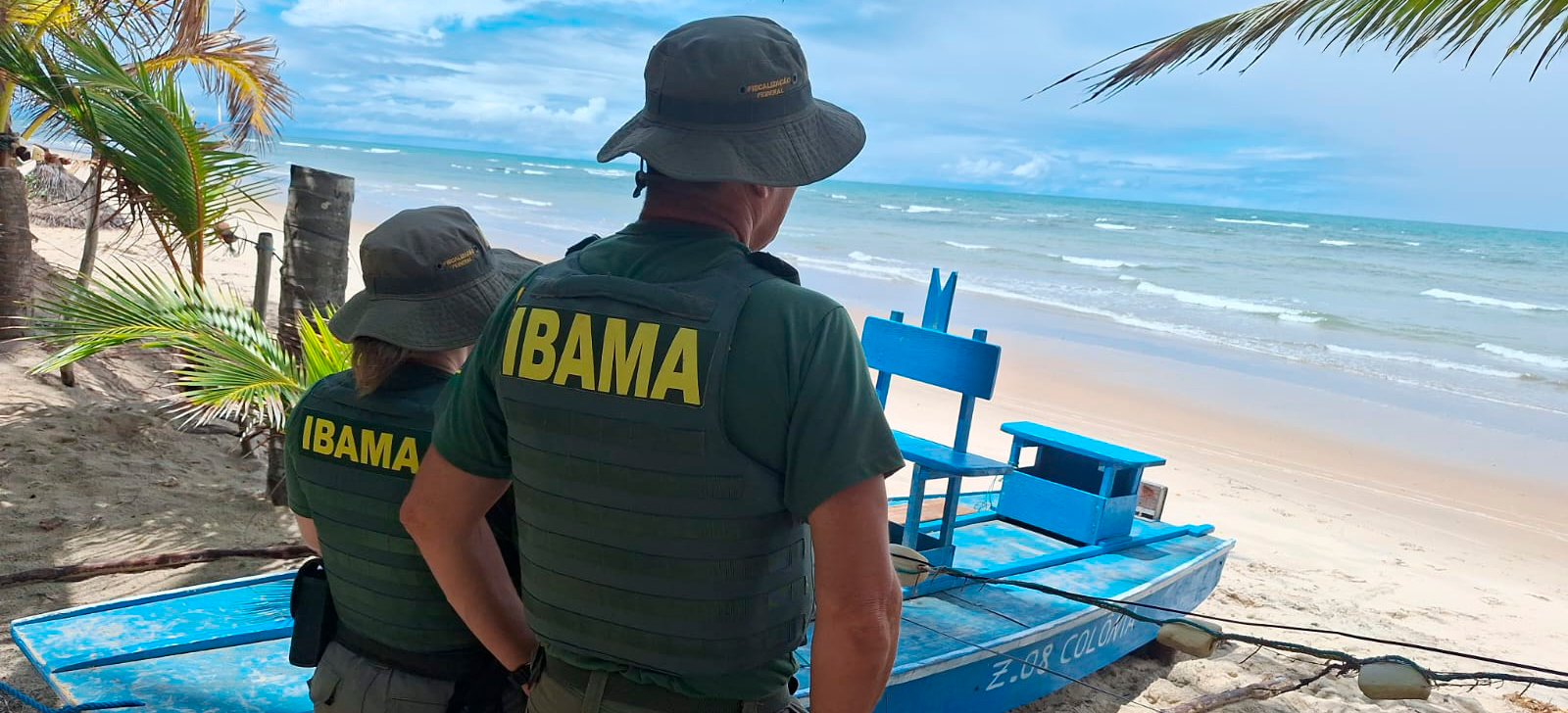 Animal foi encontrado morto em praia de Cabo de Santo Agostinho (PE); multas totalizam R$ 15 mil
