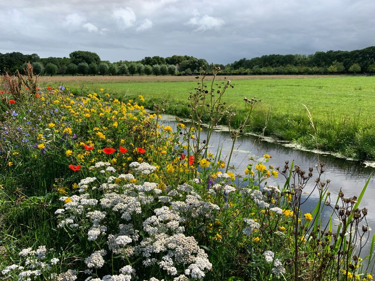 2026-01-09 Ingredientes, altamente tóxicos, já foram proibidos em diversos países.jpg