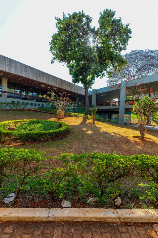 2026-02-13 Visitas à sede do Ibama aproxima a sociedade com as atividades institucionais.jpg