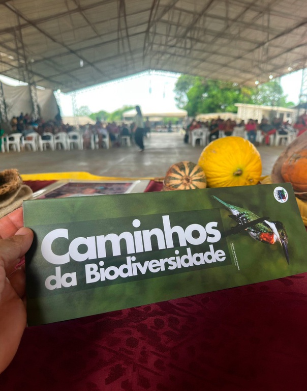 A foto mostra uma mão segurando um folder horizontal do Ibama com o nome Caminhos da Biodiversidade; a arte tem tons verdes e, ao lado do nome, a foto de um pássaro martim-pescador-pequeno; ao fundo, uma imagem desfocada de uma mesa