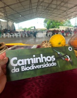 Iniciativa do Ibama fomenta observação da biodiversidade em comunidades indígenas em RR