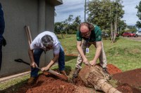 Jardins da Sede do Ibama recebem mudas de plantas nativas