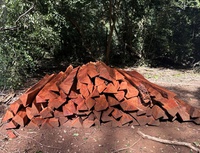 Madeira ilegal é apreendida em terra indígena em Mato Grosso do Sul
