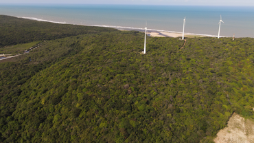 2026-03-06 Depois: mesma área, em 2022, com a vegetação recuperada ao longo de 20 anos.png