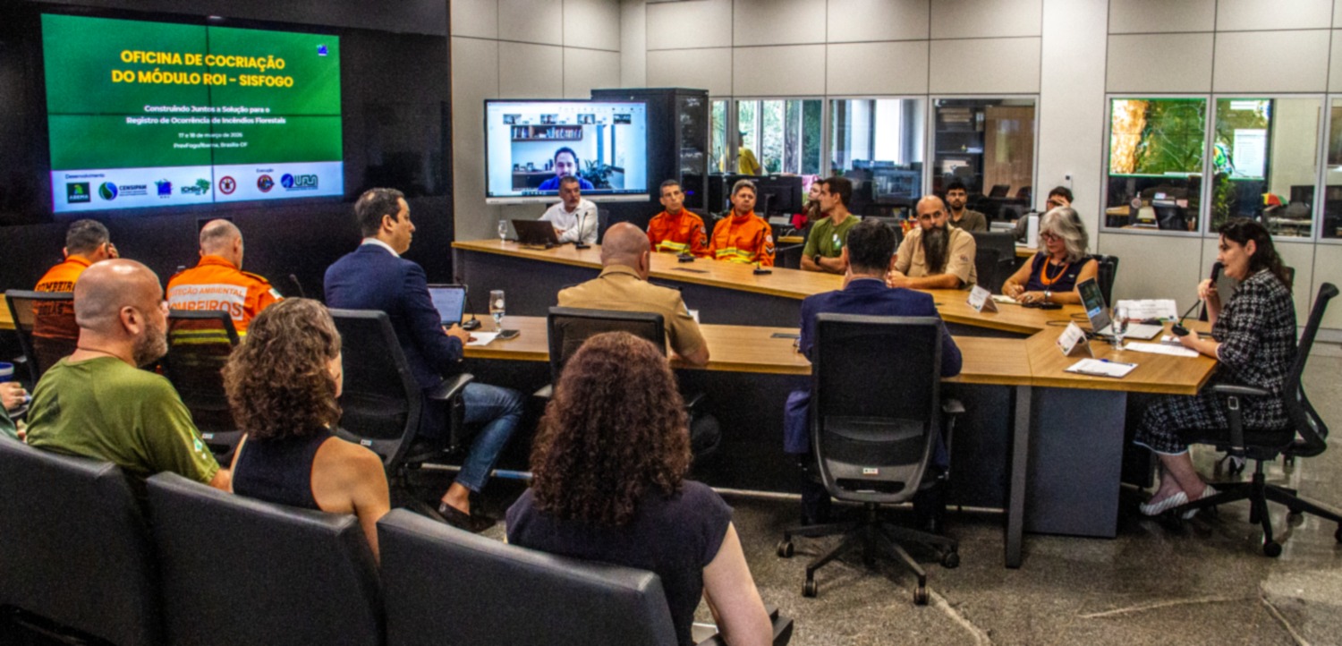 Debate conduzido pelo Prevfogo reuniu instituições para aprimorar registro de ocorrências e qualificar resposta aos incêndios no país