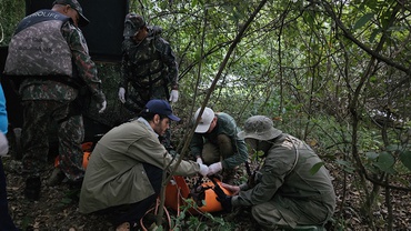 Em um local de mata, no início da manhã, a onça, já sedada, é colocada em suporte plano de cor laranja, a fim de ser levada em segurança para as instalações da Polícia Militar Ambiental, onde será submetida a exames clínicos.