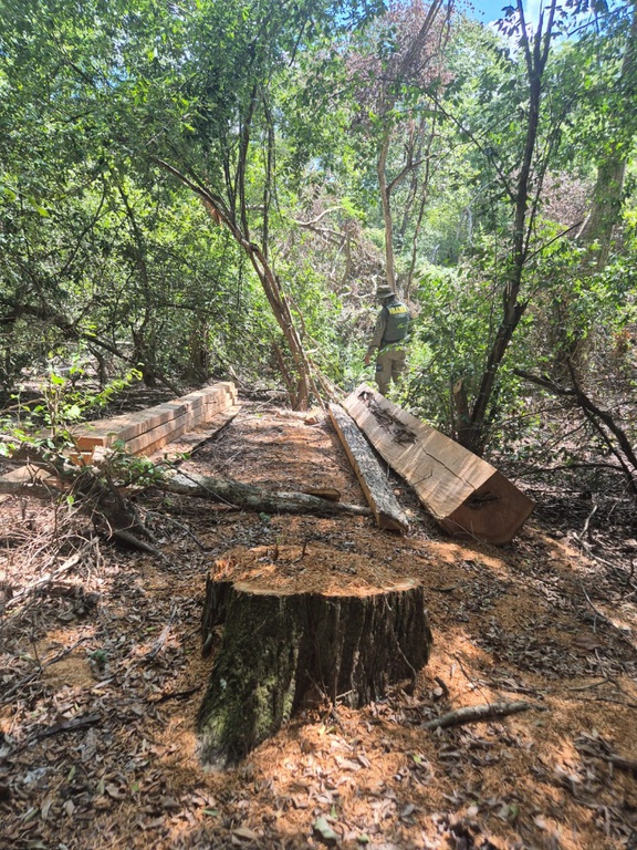 2026-04-07 Um dos pontos vistoriados pela equipe de fiscalização dentro da TI Kadiwéu.jpeg