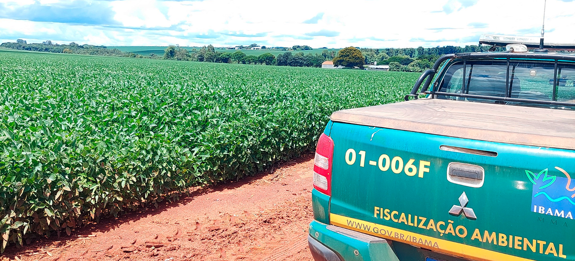 Ação é iniciativa do Ibama para conservação de polinizadores