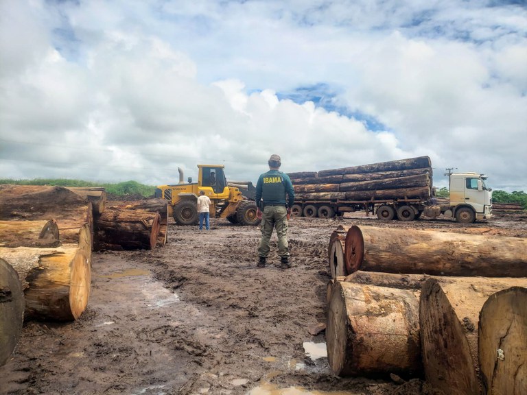 2026-02-03 Agentes identificaram pátio fantasma com madeira nativa ilegal, a maior parte em toras.jpg