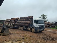 Operação do Ibama intercepta madeira ilegal em Aripuanã (MT)