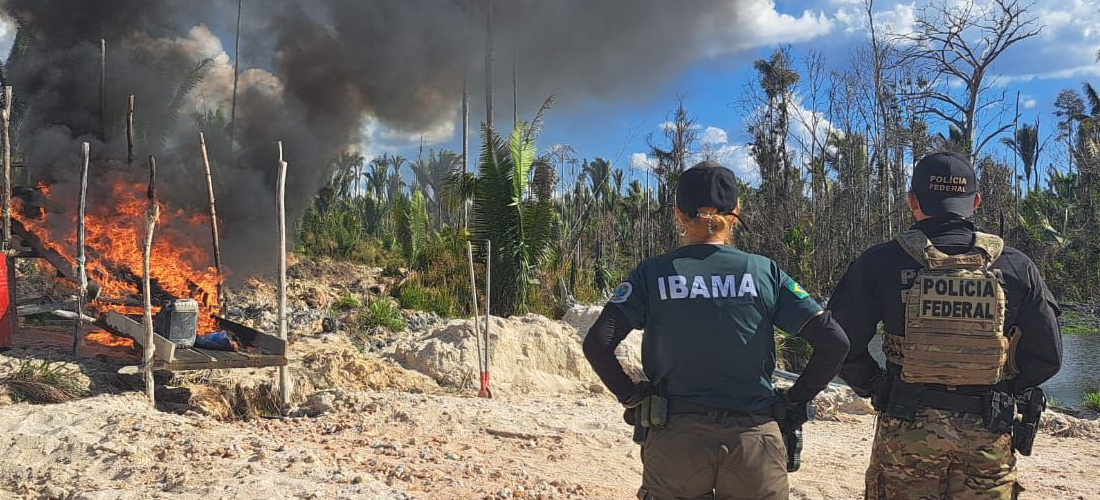 Ibama e PF vistoriaram o cumprimento de embargos em áreas destinadas a recuperação ambiental