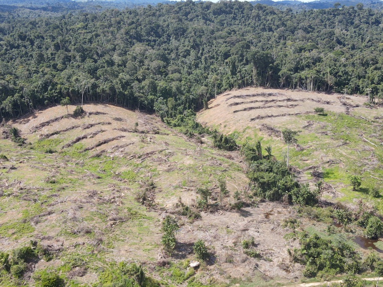 2026_03_19_Metaverso-PA