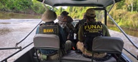 Operação Wahanararai apreende pescado ilegal, armas e madeira no Vale do Javari (AM)