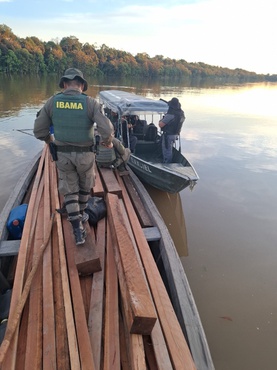 2026-04-01 Madeira de origem ilegal retirada de circulação durante operação do Ibama no Vale do Javari (AM).jpg