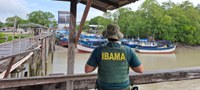 Pesca ilegal de pargo resulta em quase 37 toneladas de pescado apreendido no PA
