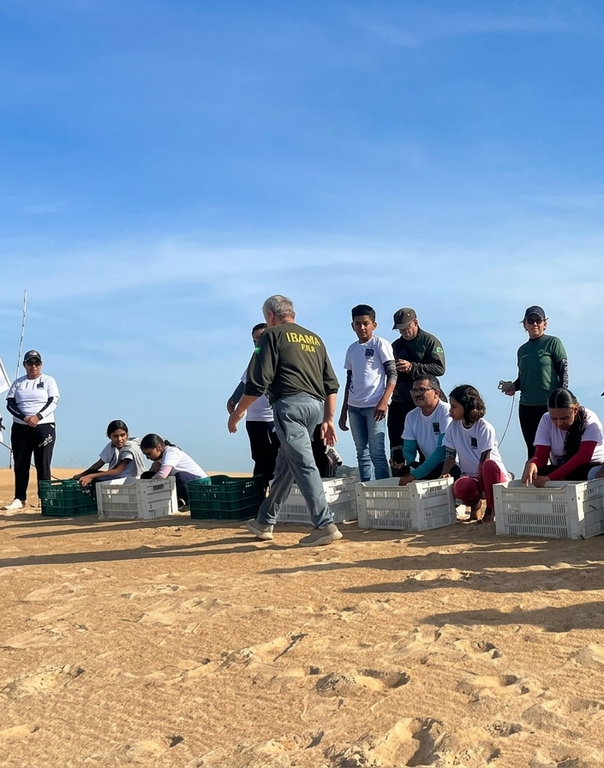 2026-03-10 Estudantes participaram de soltura de quelônios em praia do tabuleiro Santa Fé, no baixo Rio Branco.png