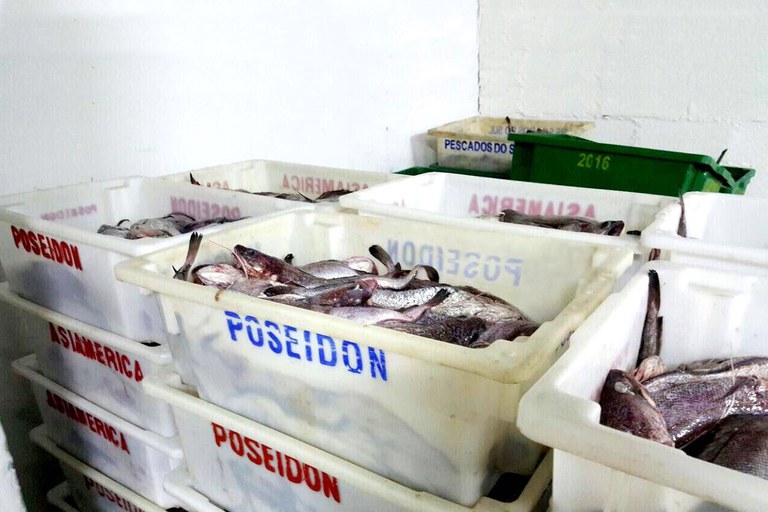 pescado_apreendido.jpg