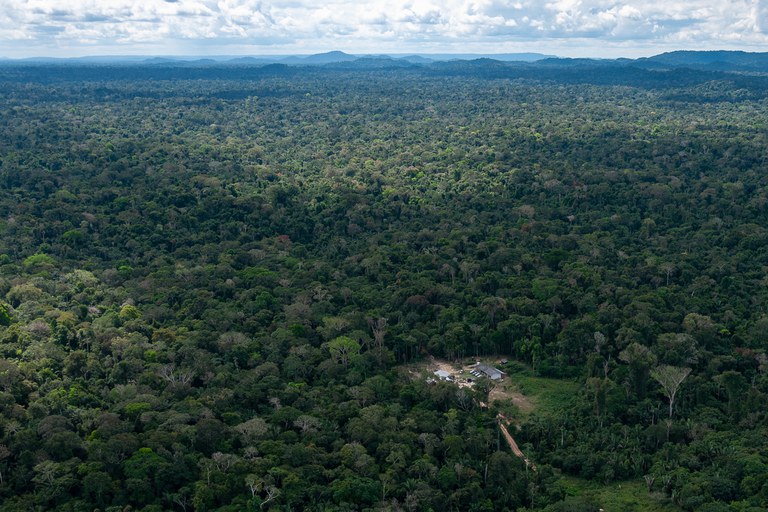 Pantanal OnLine - Site de Notícias de Colniza e Região - Pantanal Online