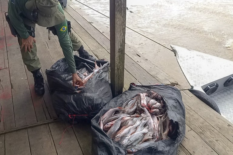 apreensao_de_pescado.jpg