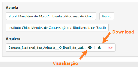 Imagem do detalhe da visualização no navegador ou download instantâneo