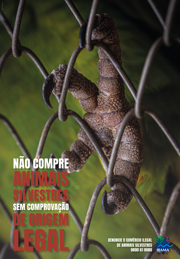 2020-09-Cartaz_Trafico_Animais.png