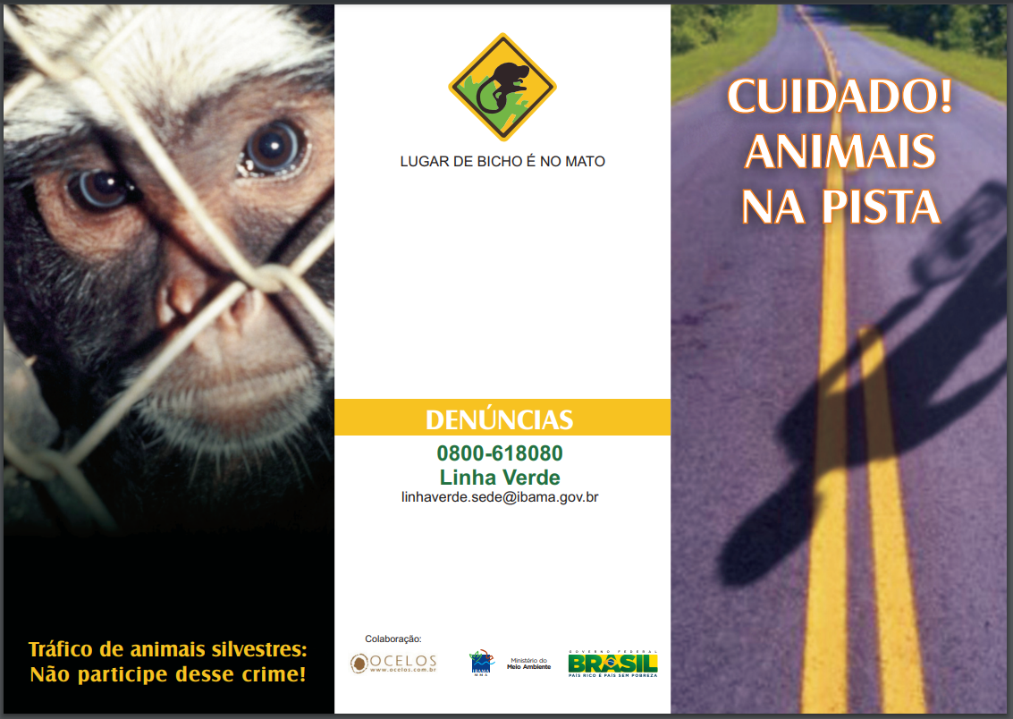 Capa_Cuidado_Animais_na_pista.PNG